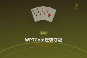 WPTGold逆袭夺冠:深码策略与ICM压力下的关键决策拆解